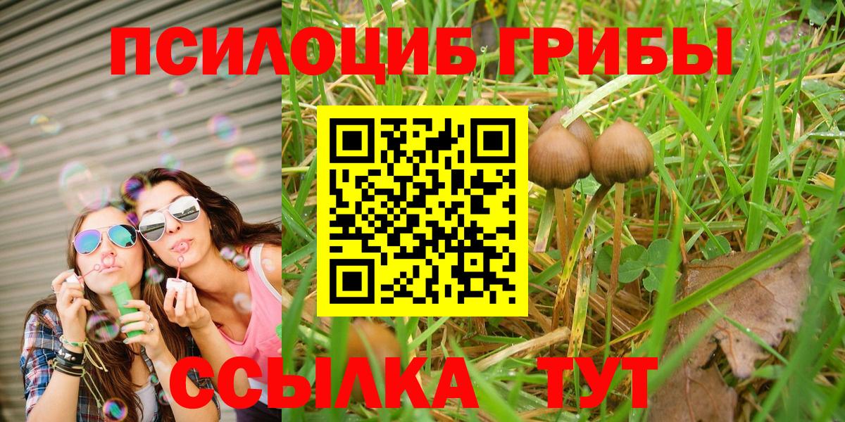 Псилоцибиновые грибы Psilocybine cubensis Старая Купавна