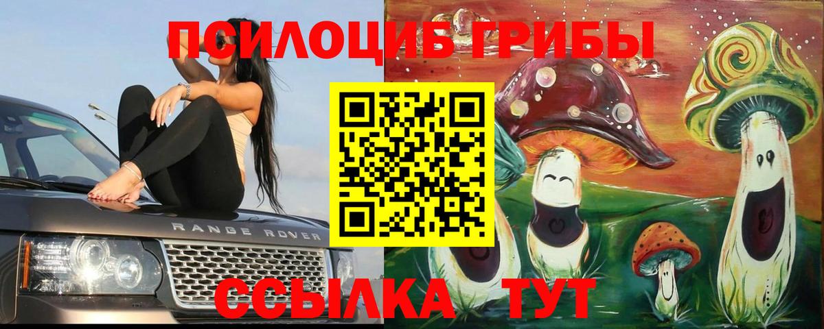 Старая Купавна  Галлюциногенные грибы ЛСД  Вход с VPN 